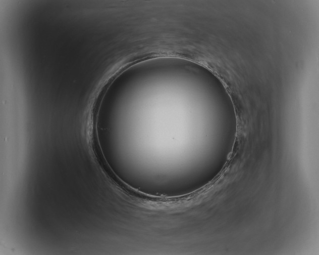 X0000102780005200808181159