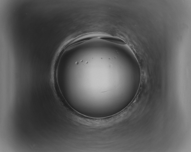 X0000102780006200808181159