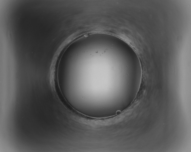 X0000102780007200808181159