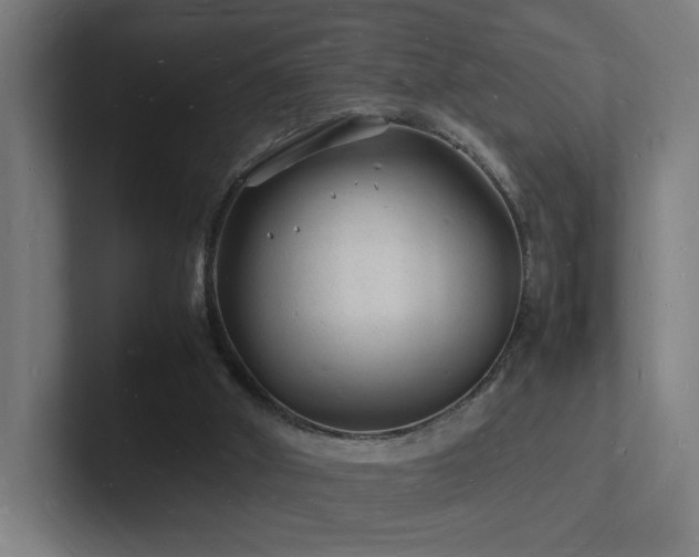 X0000102780010200808181159