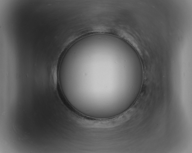 X0000102780011200808181159