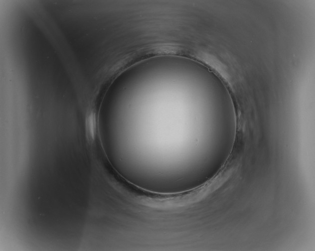 X0000102780013200808181159