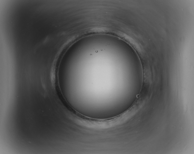 X0000102780015200808181159