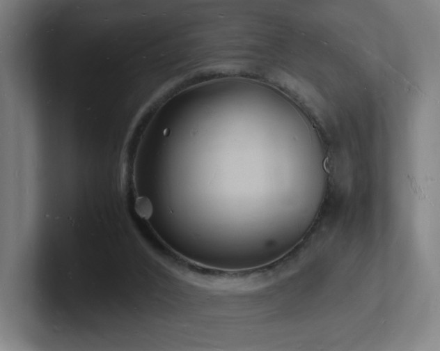 X0000102780016200808181159