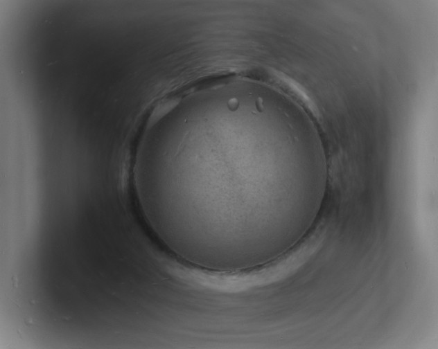 X0000102780018200808181159