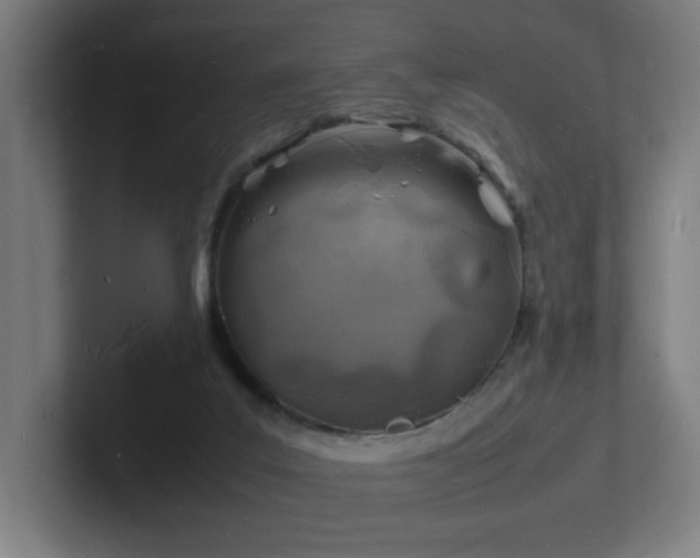 X0000102780019200808181159