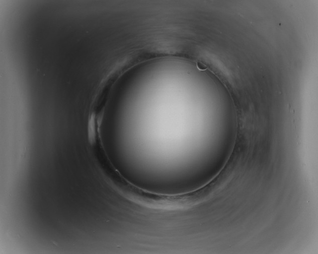 X0000102780020200808181159