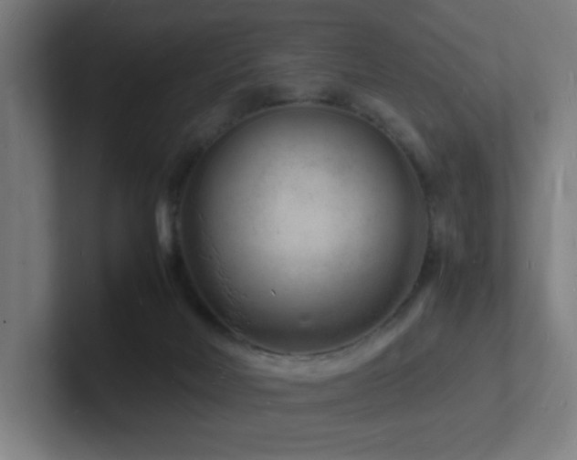 X0000102780026200808181159