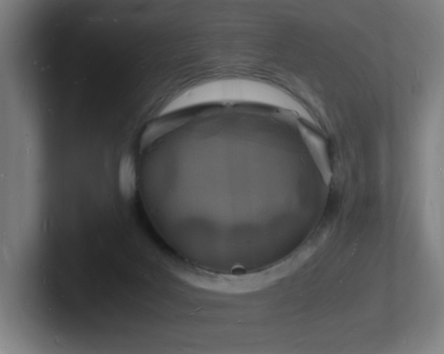 X0000102780027200808181159