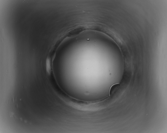 X0000102780028200808181159