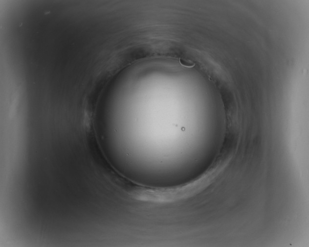 X0000102780033200808181159