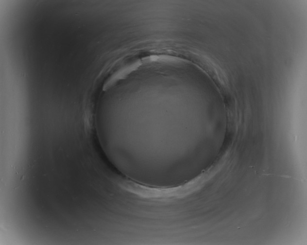 X0000102780035200808181159