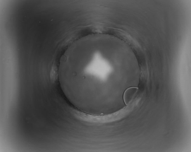 X0000102780043200808181159