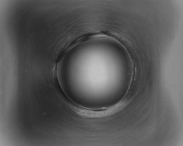 X0000102780048200808181159