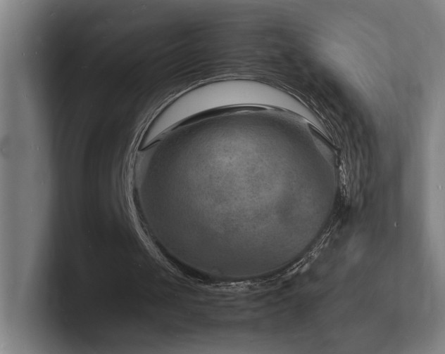 X0000102780049200808181158