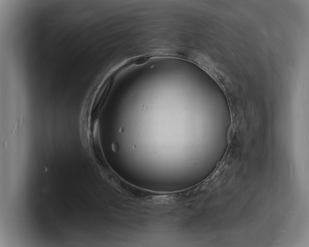 X0000102780050200808181158