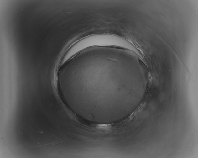 X0000102780053200808181158