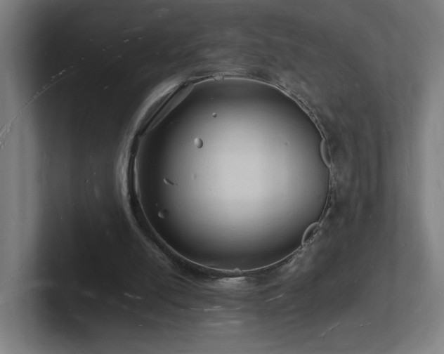 X0000102780054200808181158