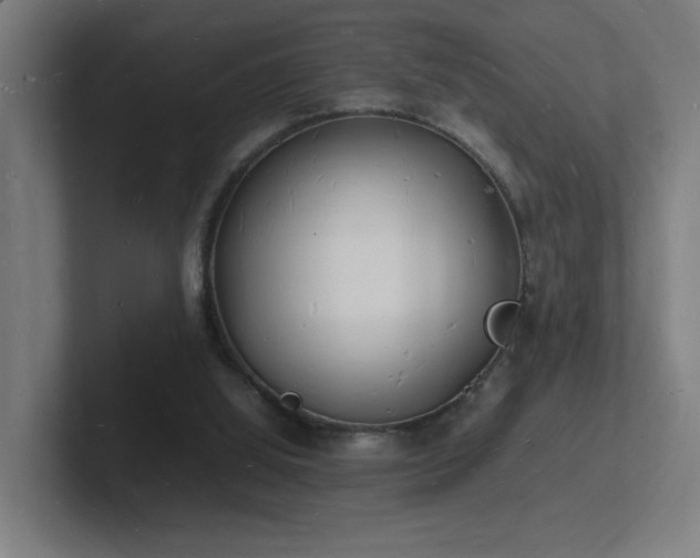 X0000102780060200808181158