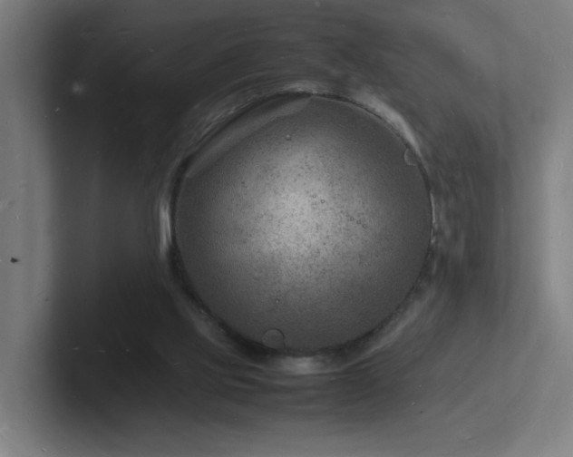 X0000102780061200808181158