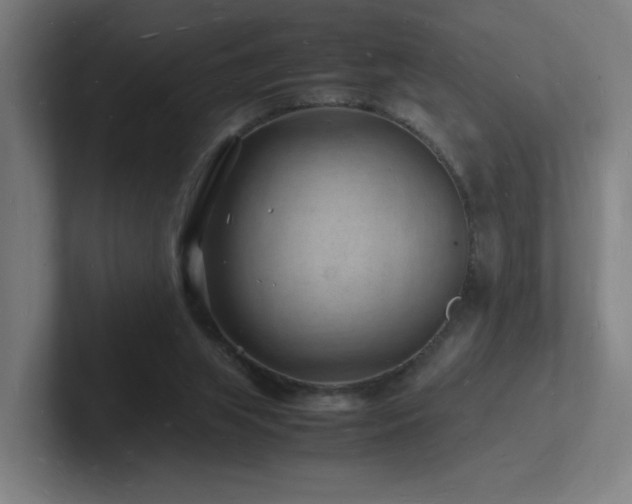 X0000102780063200808181158