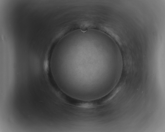 X0000102780067200808181158