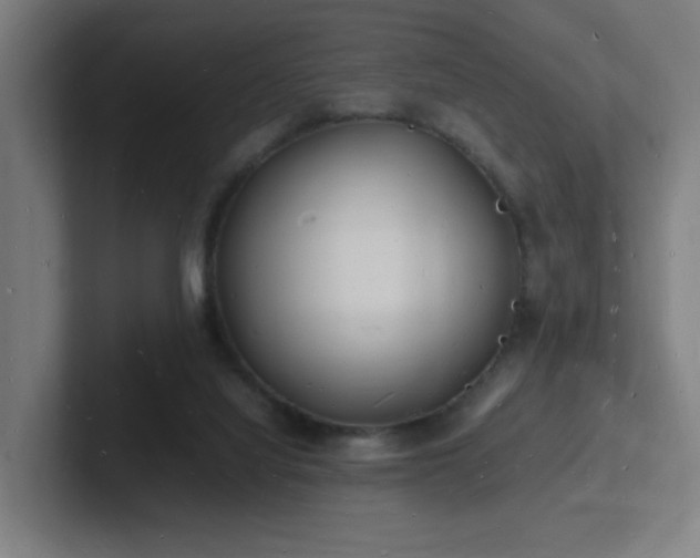 X0000102780068200808181158