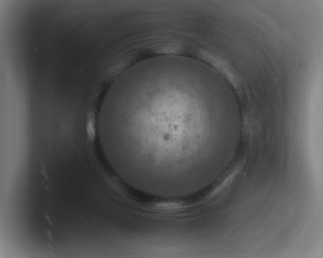 X0000102780069200808181158