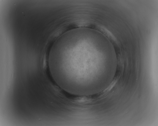 X0000102780074200808181158