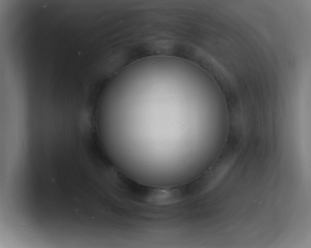 X0000102780083200808181158