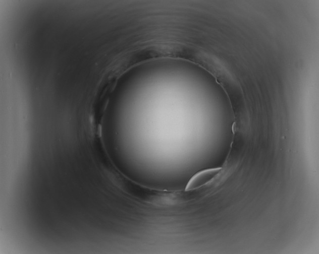 X0000102780086200808181158