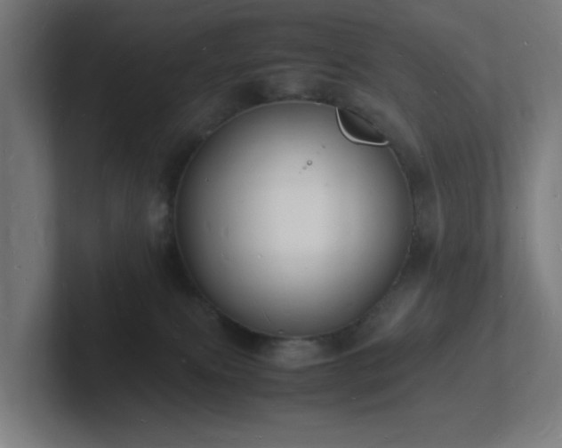 X0000102780087200808181158