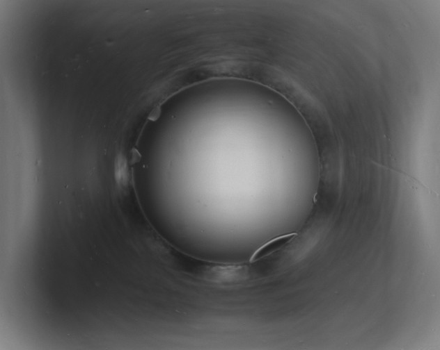 X0000102780089200808181158