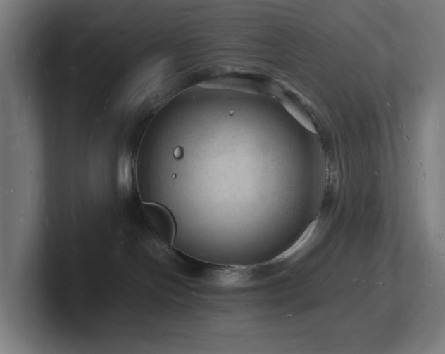 X0000102780094200808181158