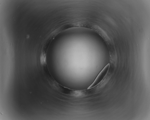 X0000102780095200808181158