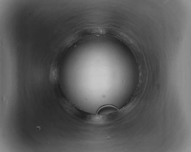 X0000102780096200808181159