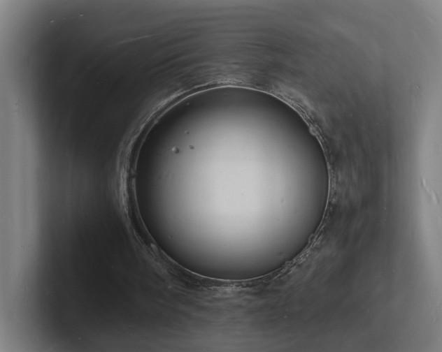 X0000102780098200808181158