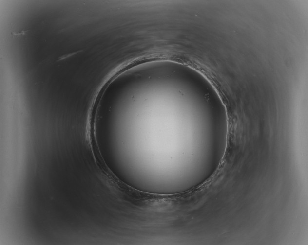 X0000102780100200808181158