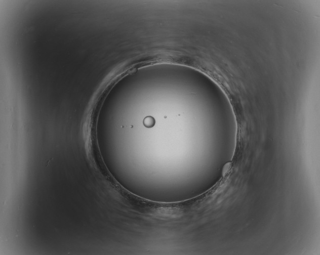 X0000102780101200808181158