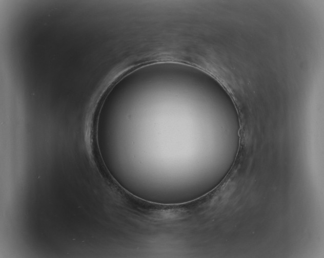 X0000102780103200808181158