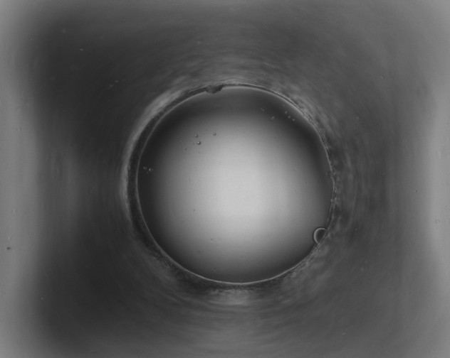 X0000102780104200808181158