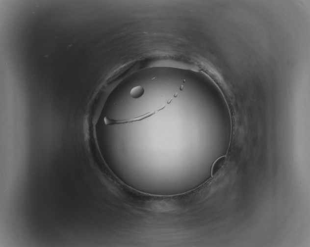 X0000102780106200808181158