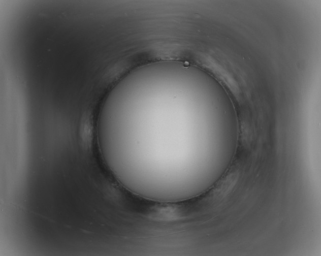 X0000102780113200808181158