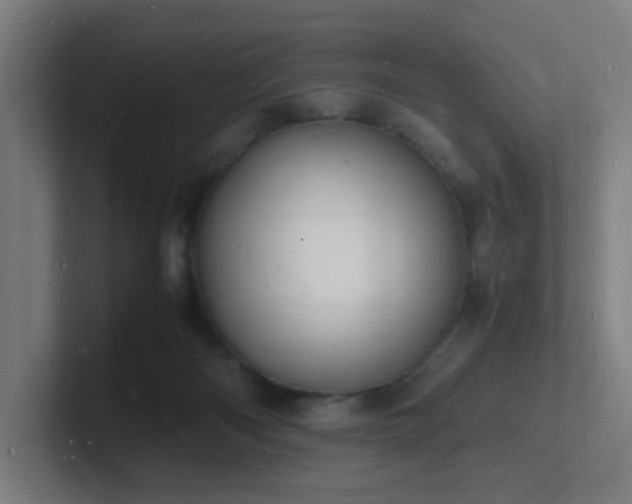 X0000102780122200808181158