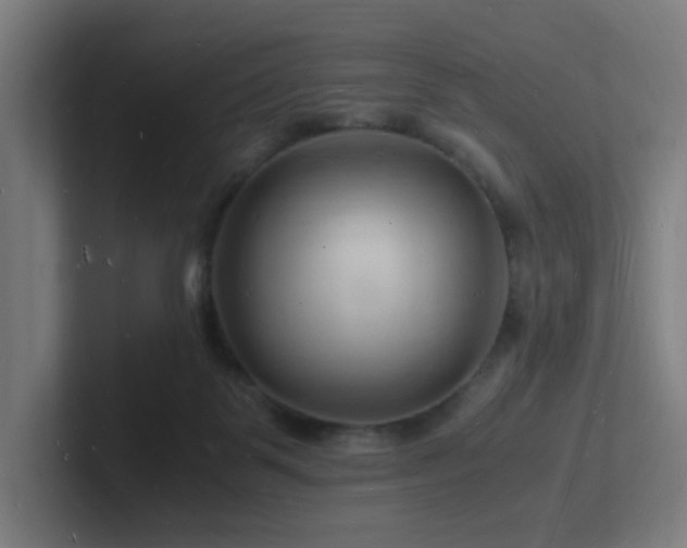 X0000102780123200808181158