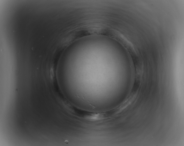 X0000102780130200808181157