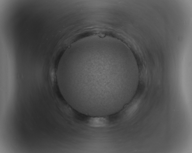 X0000102780137200808181157