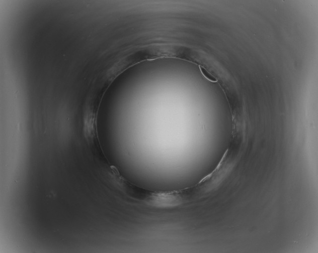 X0000102780141200808181157