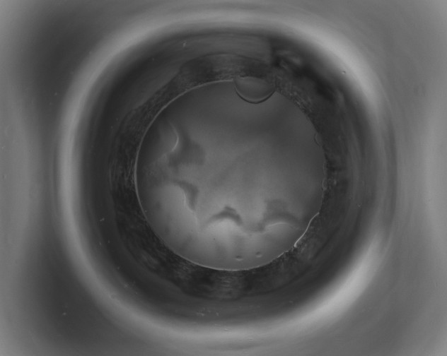 X0000102780143200808181157