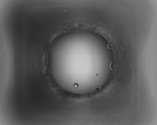 X0000102780144200808181157